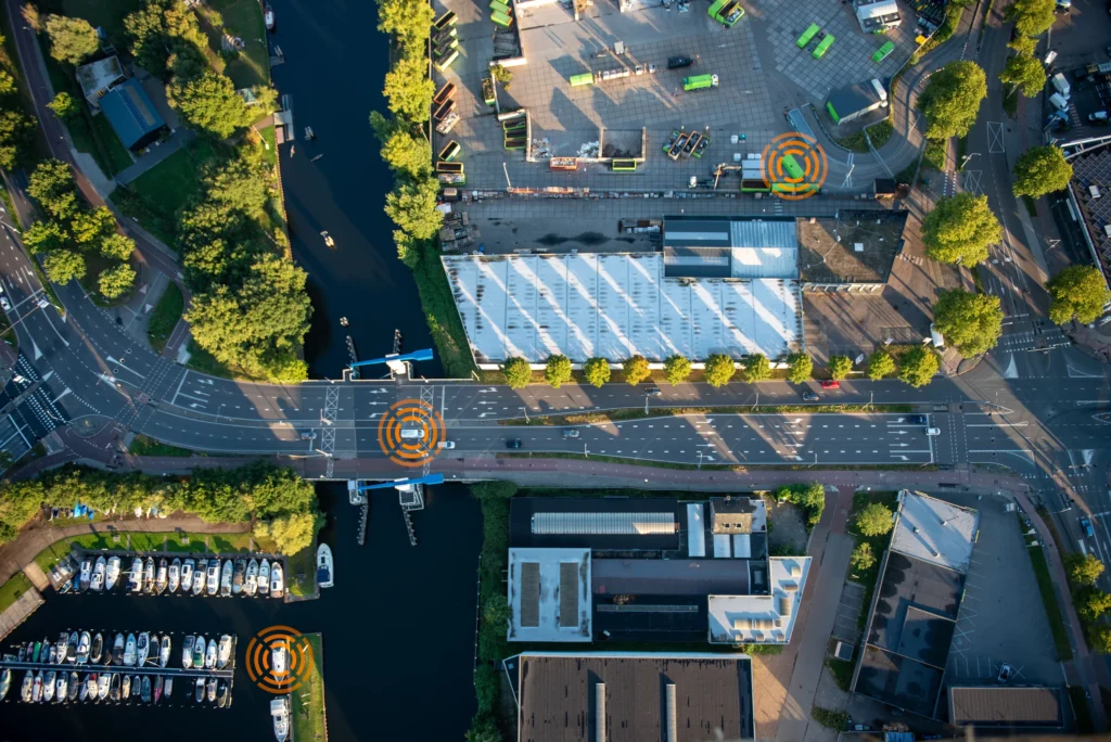 Movida: A Bird's-Eye View